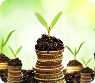 Tư  vấn đầu tư tài chính