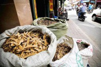 Coi chừng rác thuốc đội lốt dược liệu chuẩn