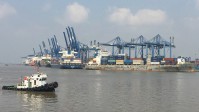 Tăng giá dịch vụ cảng biển, cần có lộ trình