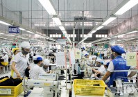 Đẩy mạnh công tác an toàn, vệ sinh lao động ngành dệt may